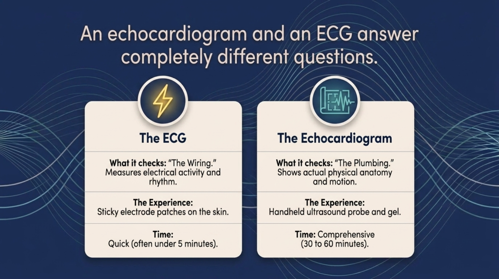 What Is an Echocardiogram and Why Might Your Doctor Order One?