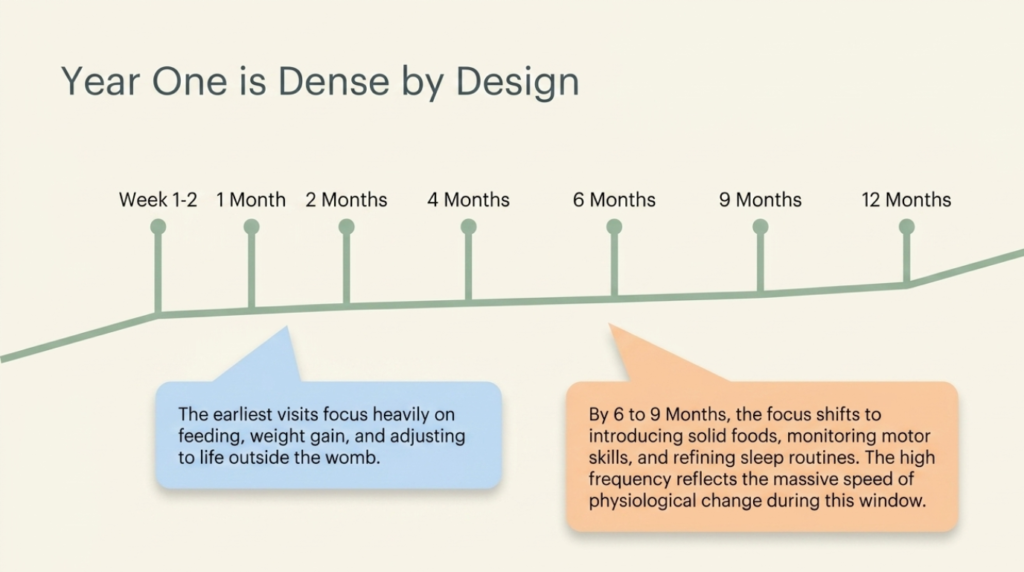 Well-Baby Checkups: What Happens at Each Milestone Visit
