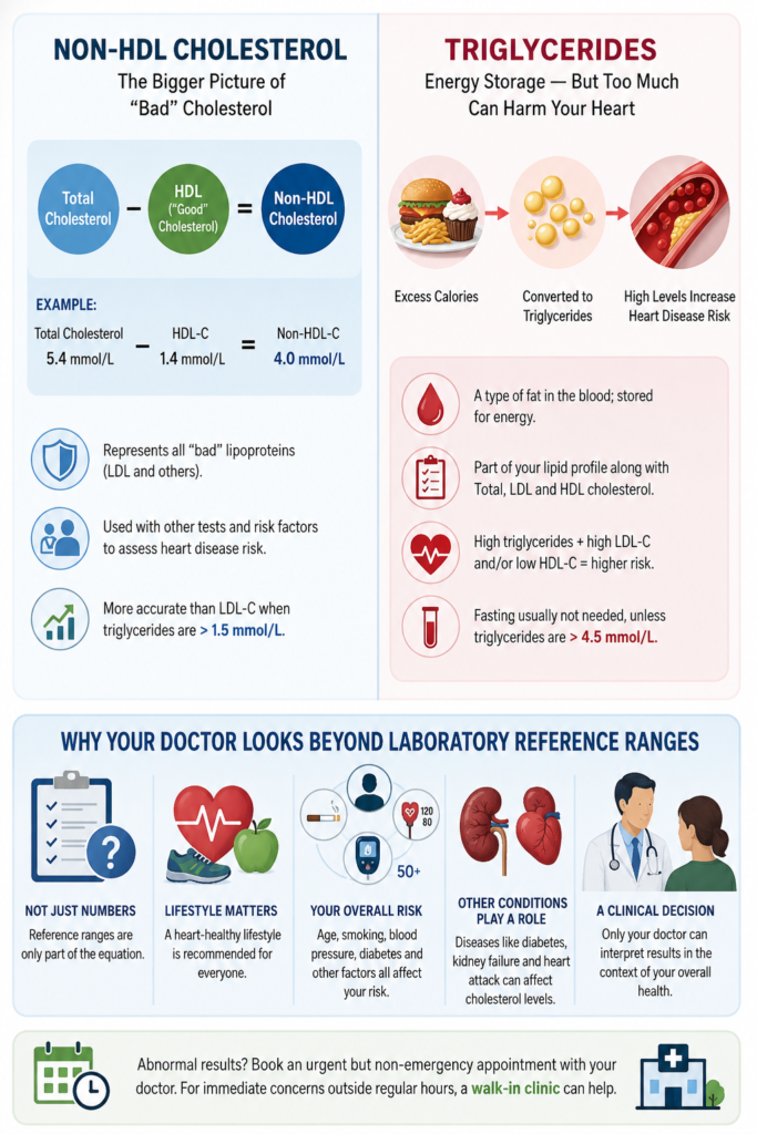 High Cholesterol Explained: What Your Numbers Mean
